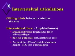 Intervertebral articulations Gliding joints  between vertebrae (facets) Intervertebral discs:   (Amphiarthroses)  annulus fibrosus:   tough outer layer (fibrocartilage)  nucleus pulposus:   soft, gelatinous core Account for ~25% of vertebral column height – H 2 O loss during aging 