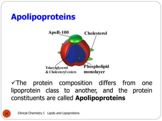 Comprehensive Overview of Lipids and Lipoproteins in Clinical Chemistry ...
