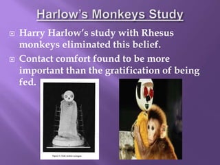  Harry Harlow’s study with Rhesus
monkeys eliminated this belief.
 Contact comfort found to be more
important than the gratification of being
fed.
 