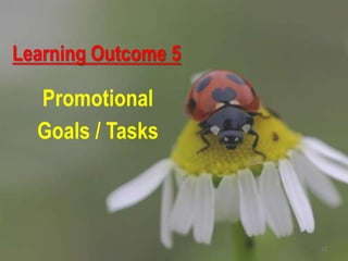 Learning Outcome 5
Promotional
Goals / Tasks
13
 
