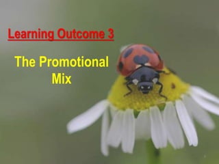 Learning Outcome 3
The Promotional
Mix
8
 