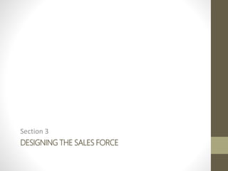 DESIGNING THE SALES FORCE
Section 3
 