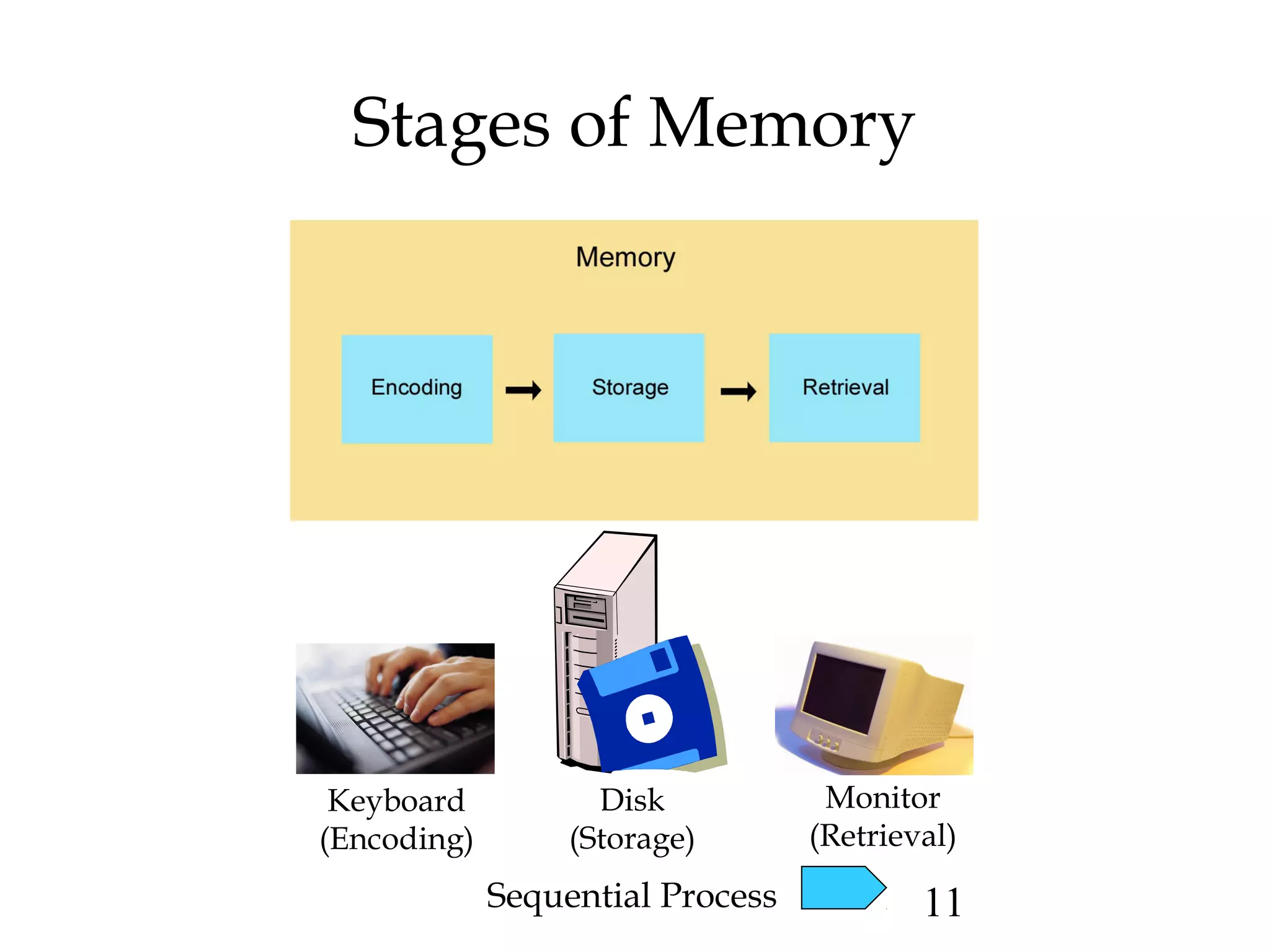 11
Stages of Memory
Keyboard
(Encoding)
Disk
(Storage)
Monitor
(Retrieval)
Sequential Process
 