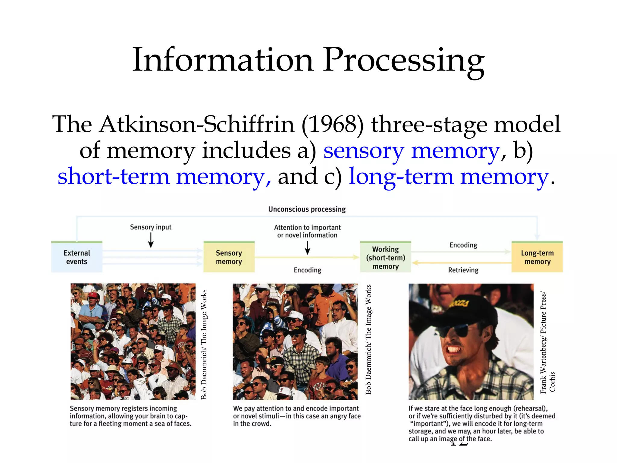 12
Information Processing
The Atkinson-Schiffrin (1968) three-stage model
of memory includes a) sensory memory, b)
short-term memory, and c) long-term memory.
BobDaemmrich/TheImageWorks
BobDaemmrich/TheImageWorks
FrankWartenberg/PicturePress/
Corbis
 