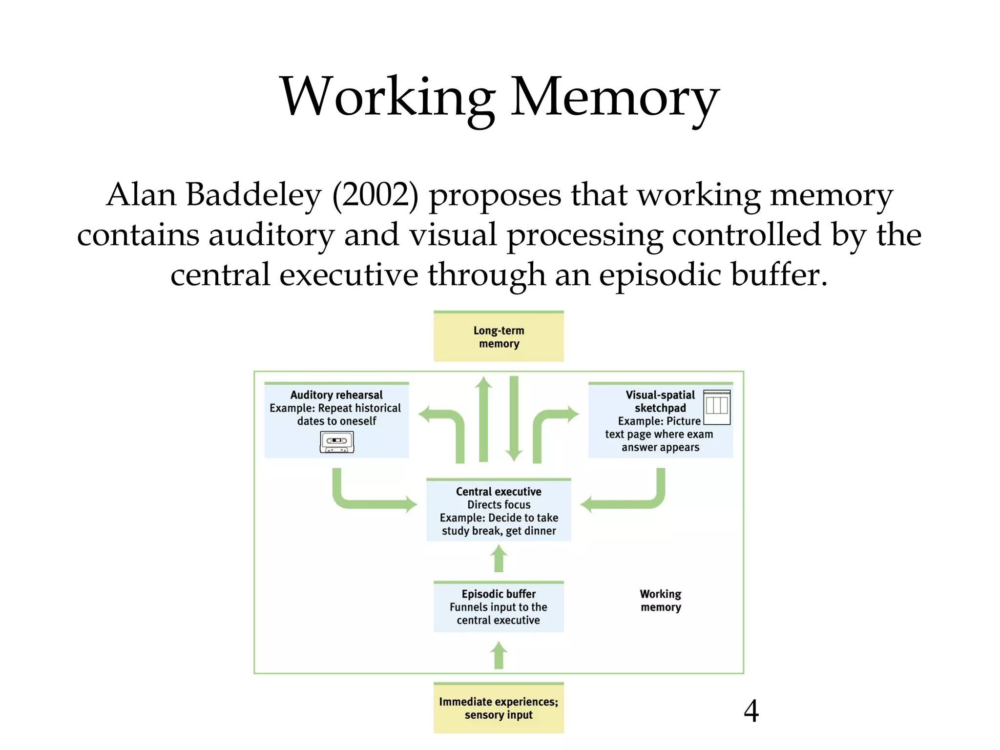 14
Working Memory
Alan Baddeley (2002) proposes that working memory
contains auditory and visual processing controlled by the
central executive through an episodic buffer.
 
