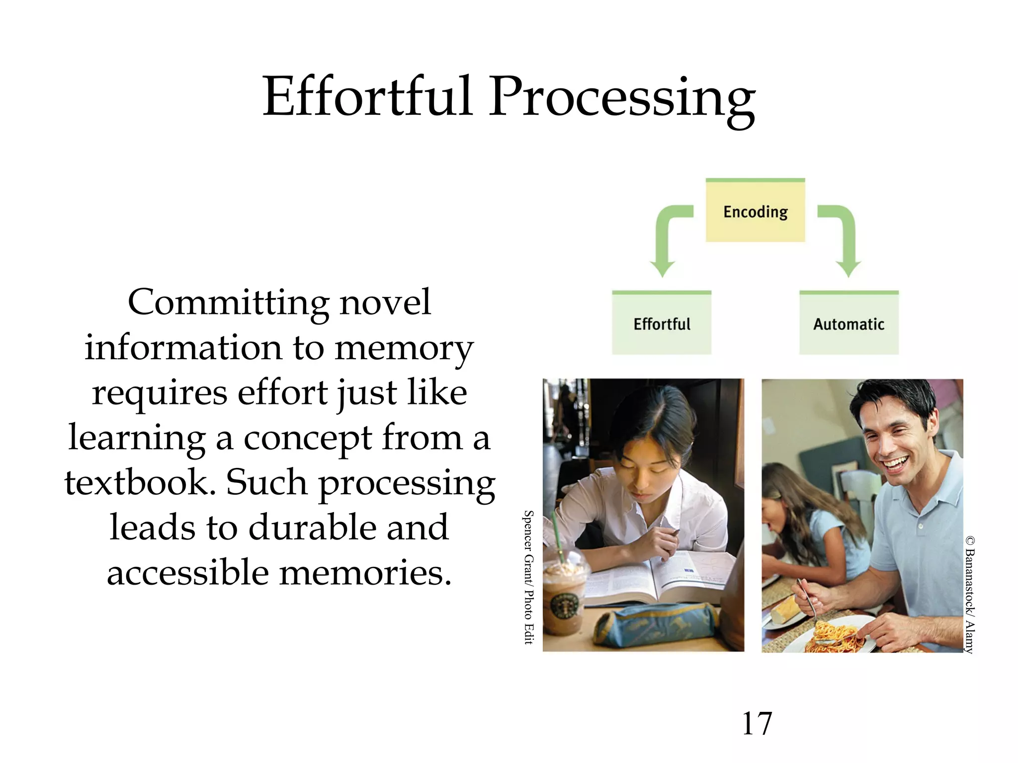 17
Effortful Processing
Committing novel
information to memory
requires effort just like
learning a concept from a
textbook. Such processing
leads to durable and
accessible memories.
SpencerGrant/PhotoEdit
©Bananastock/Alamy
 