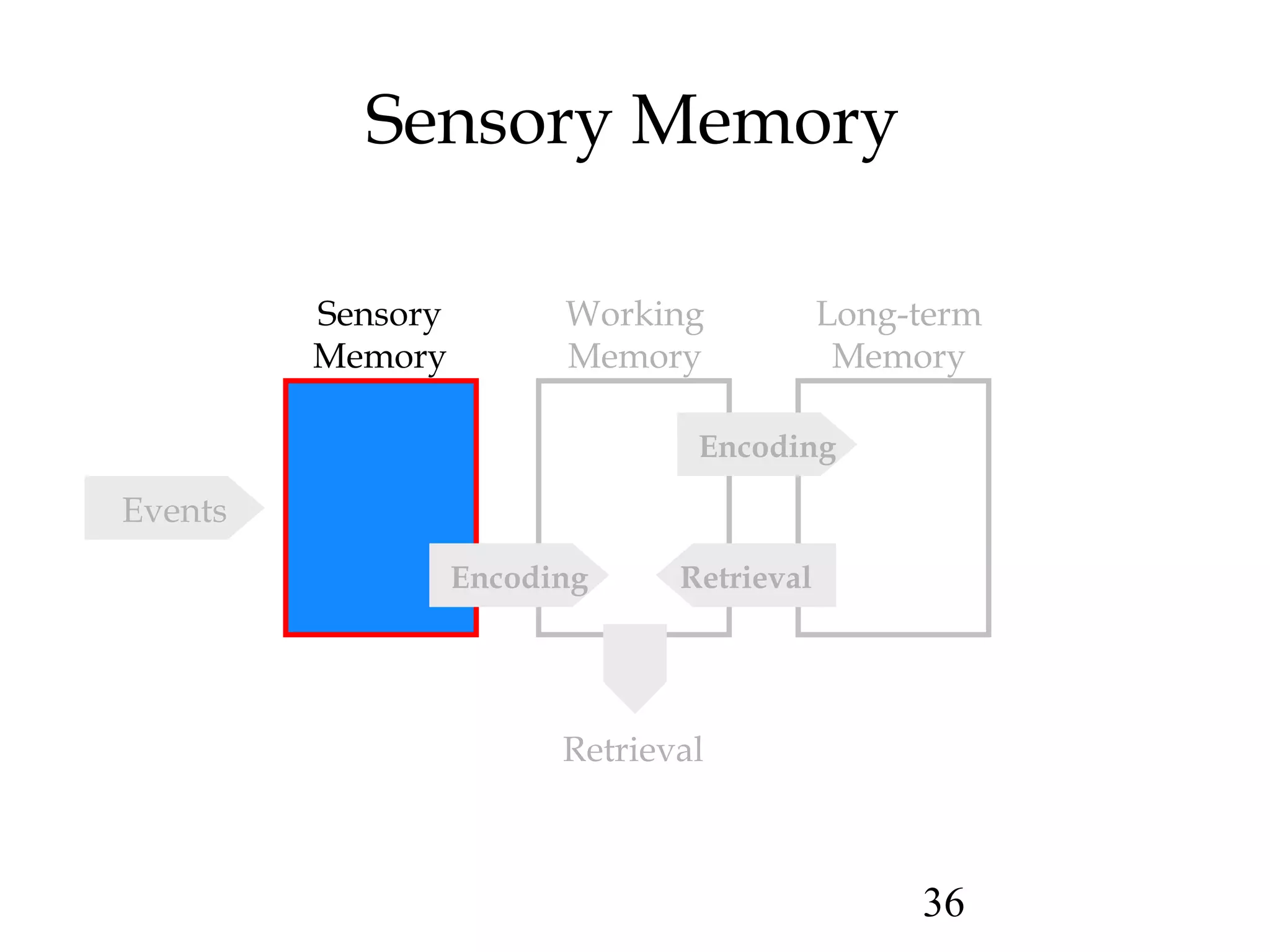 36
Sensory Memory
Sensory
Memory
Working
Memory
Long-term
Memory
Encoding
RetrievalEncoding
Events
Retrieval
 
