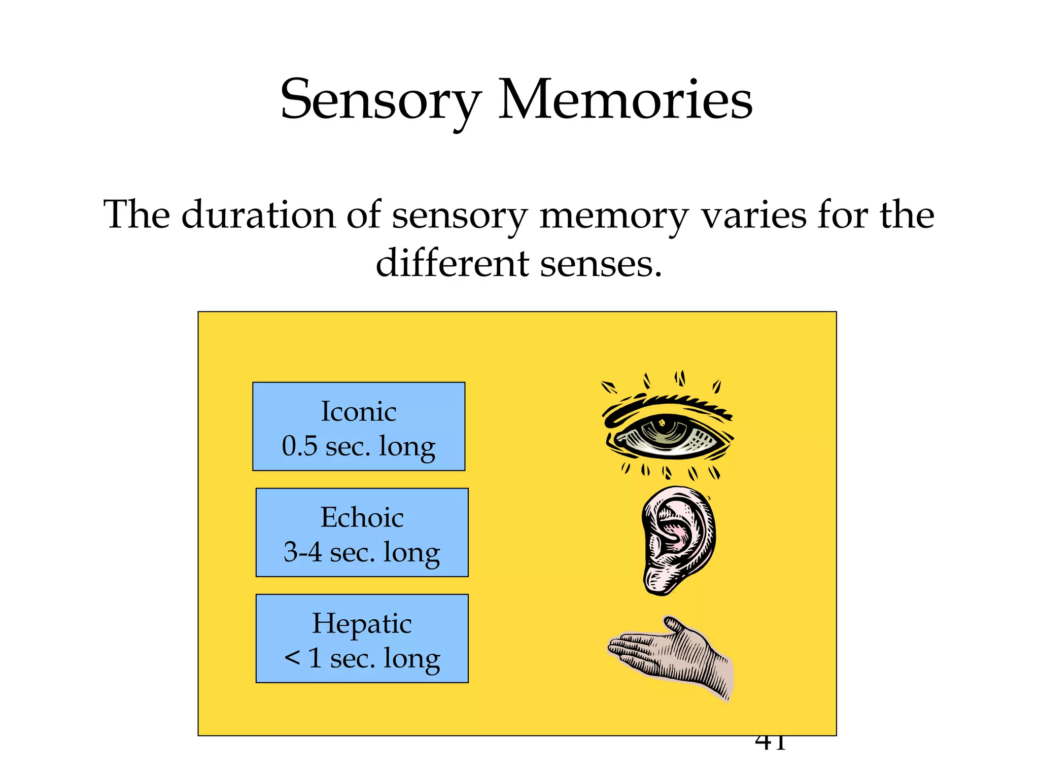 41
Sensory Memories
Iconic
0.5 sec. long
Echoic
3-4 sec. long
Hepatic
< 1 sec. long
The duration of sensory memory varies for the
different senses.
 
