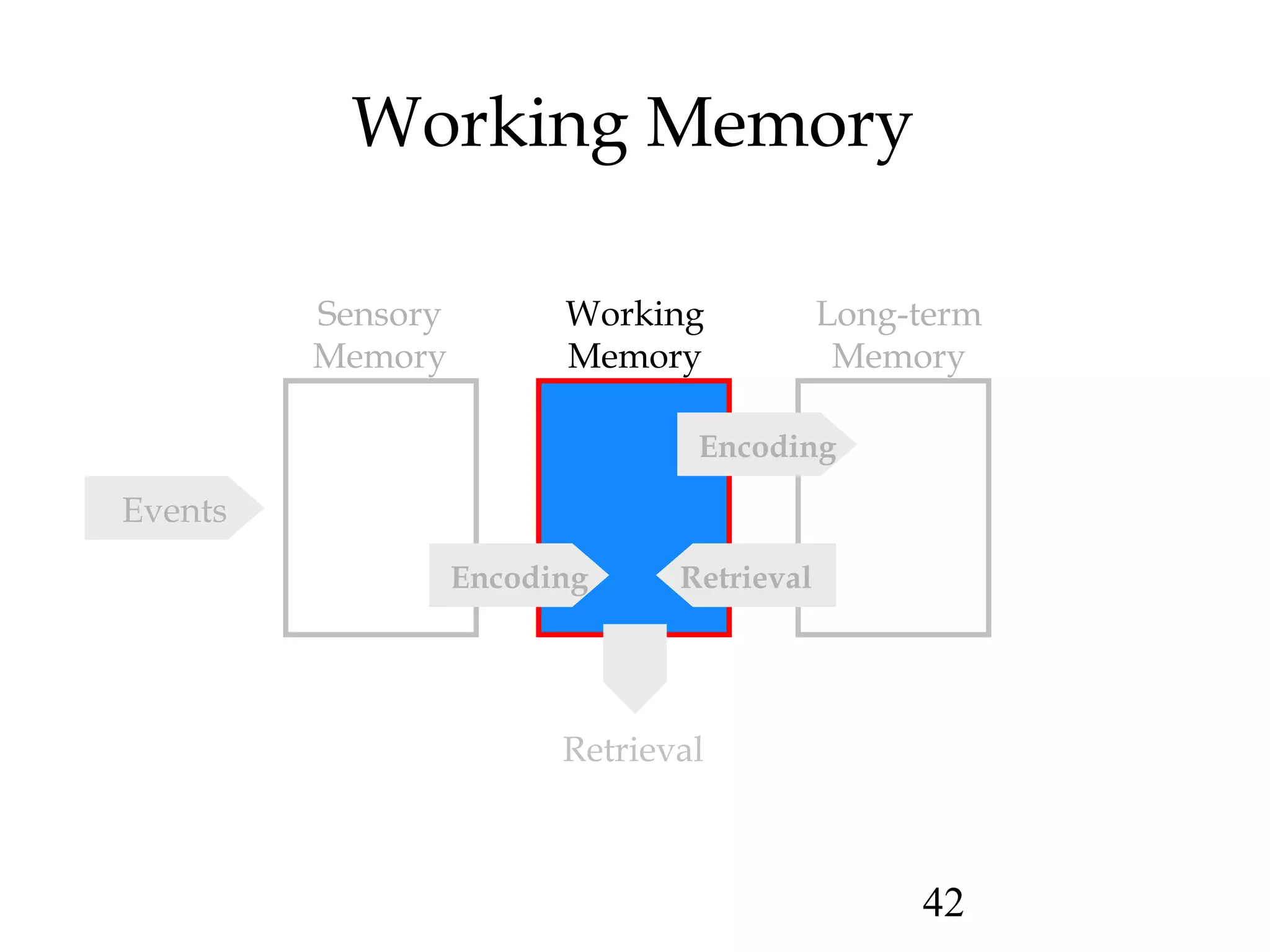 42
Working Memory
Sensory
Memory
Working
Memory
Long-term
Memory
Encoding
RetrievalEncoding
Events
Retrieval
 
