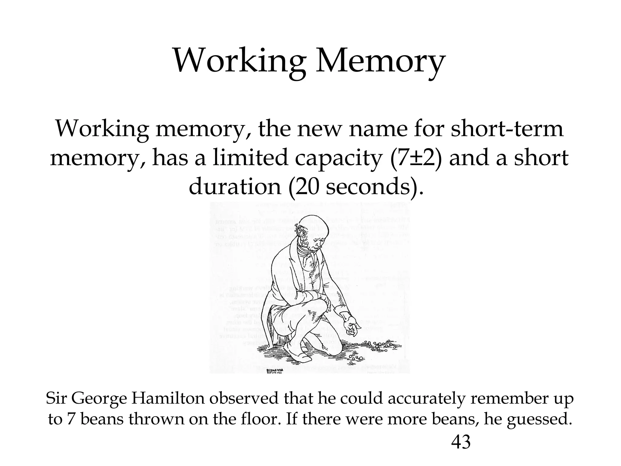 43
Working Memory
Working memory, the new name for short-term
memory, has a limited capacity (7±2) and a short
duration (20 seconds).
Sir George Hamilton observed that he could accurately remember up
to 7 beans thrown on the floor. If there were more beans, he guessed.
 