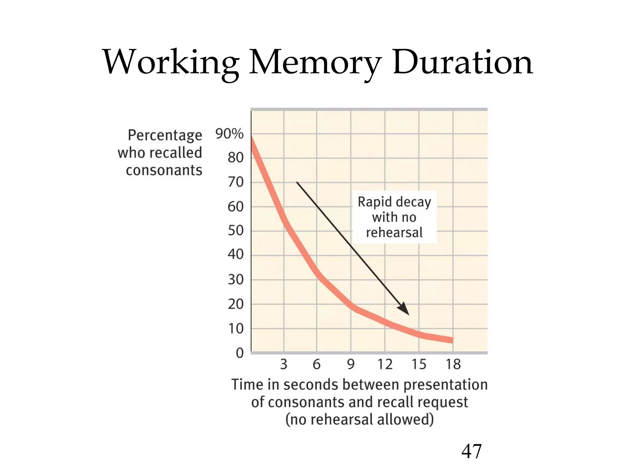 47
Working Memory Duration
 
