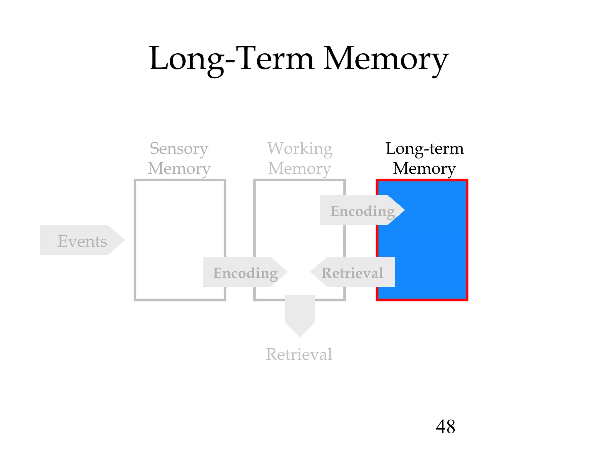 48
Long-Term Memory
Sensory
Memory
Working
Memory
Long-term
Memory
Encoding
RetrievalEncoding
Events
Retrieval
 