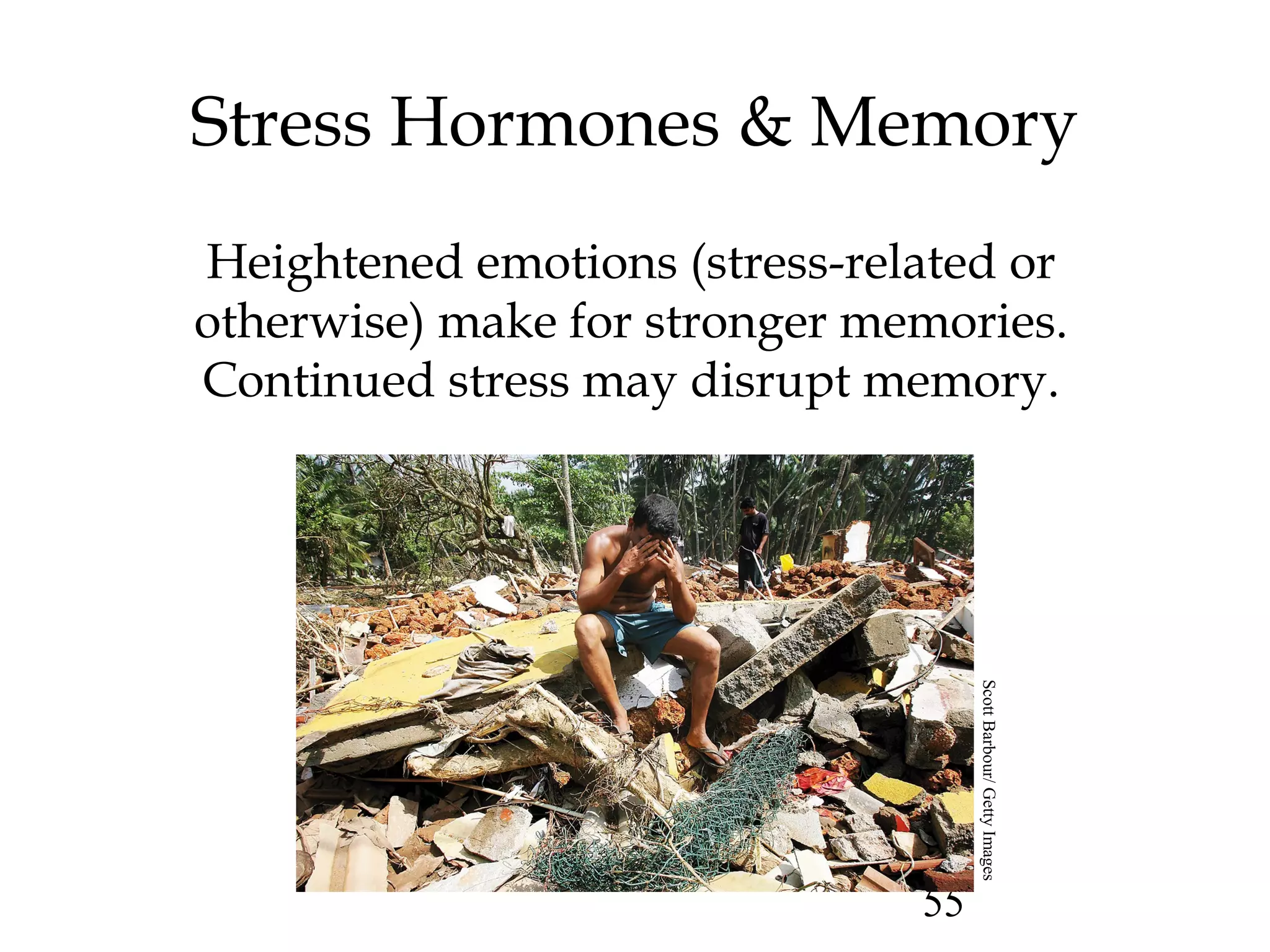 55
Stress Hormones & Memory
Heightened emotions (stress-related or
otherwise) make for stronger memories.
Continued stress may disrupt memory.
ScottBarbour/GettyImages
 