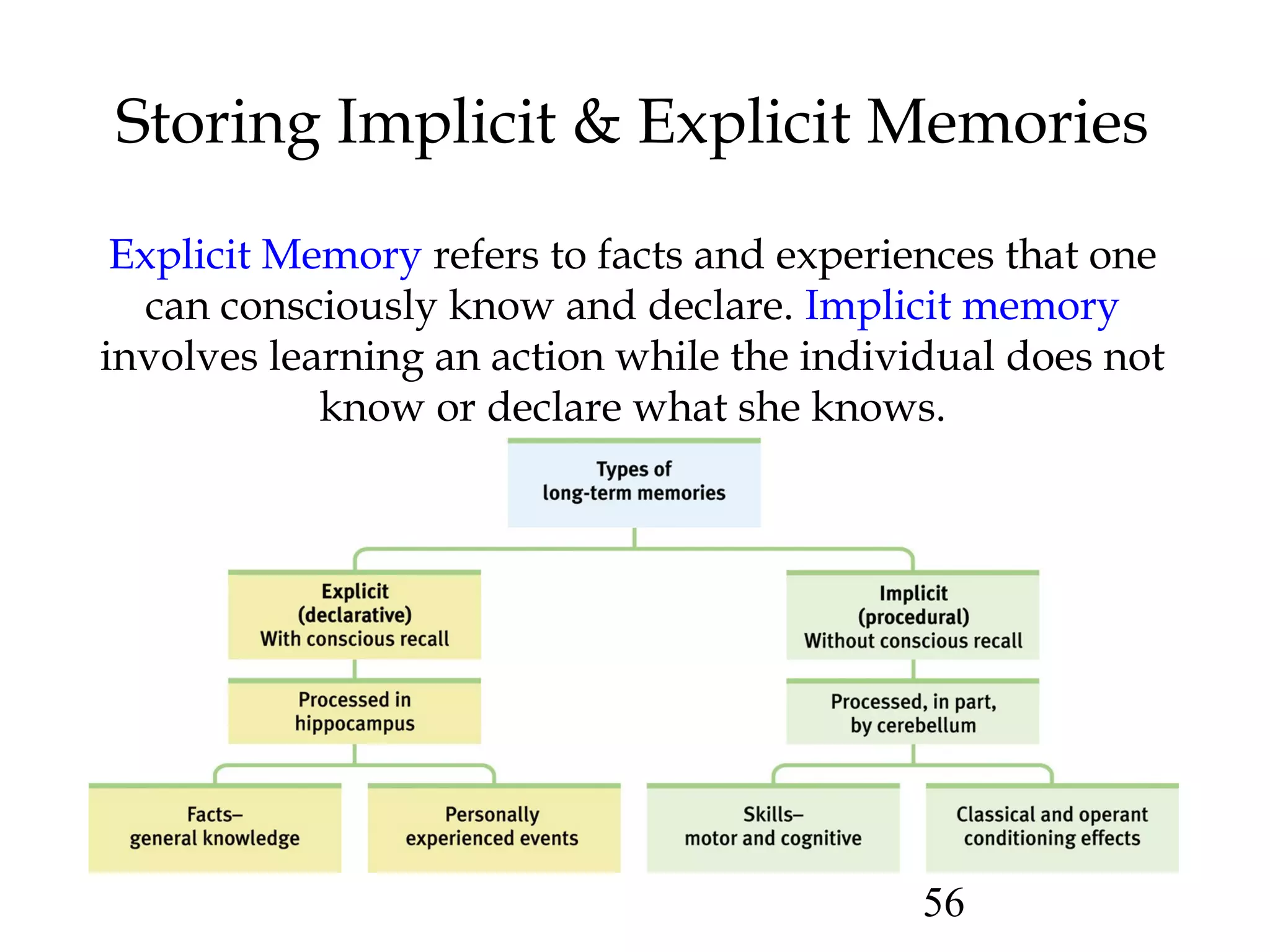 56
Storing Implicit & Explicit Memories
Explicit Memory refers to facts and experiences that one
can consciously know and declare. Implicit memory
involves learning an action while the individual does not
know or declare what she knows.
 