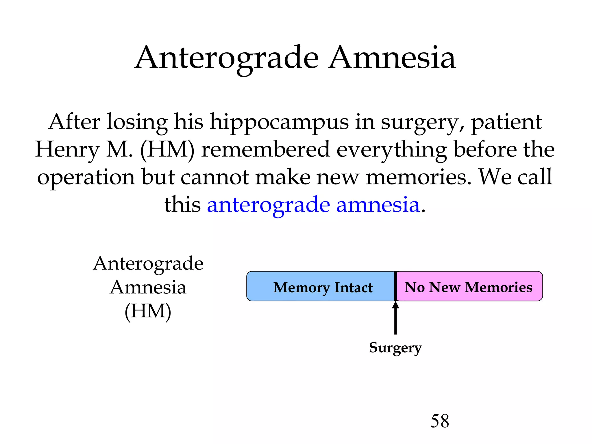 58
No New Memories
Anterograde Amnesia
Anterograde
Amnesia
(HM)
Surgery
After losing his hippocampus in surgery, patient
Henry M. (HM) remembered everything before the
operation but cannot make new memories. We call
this anterograde amnesia.
Memory Intact
 