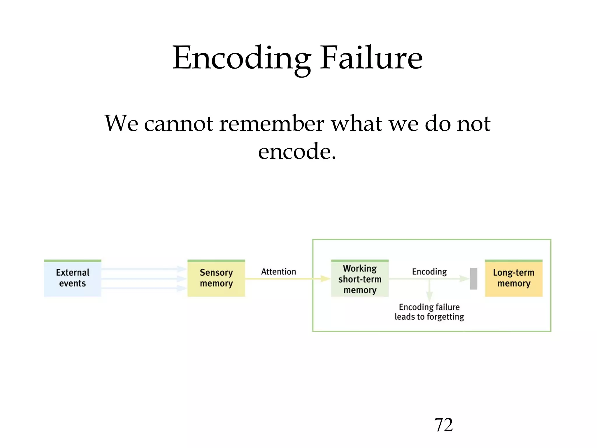 72
Encoding Failure
We cannot remember what we do not
encode.
 