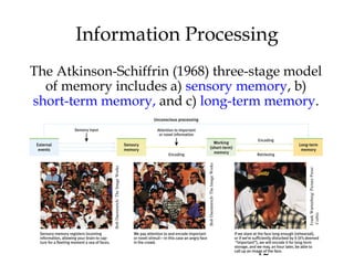 12
Information Processing
The Atkinson-Schiffrin (1968) three-stage model
of memory includes a) sensory memory, b)
short-term memory, and c) long-term memory.
BobDaemmrich/TheImageWorks
BobDaemmrich/TheImageWorks
FrankWartenberg/PicturePress/
Corbis
 