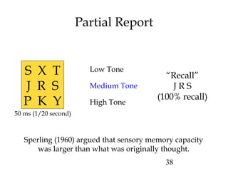 38
Partial Report
Low Tone
Medium Tone
High Tone
“Recall”
J R S
(100% recall)
Sperling (1960) argued that sensory memory capacity
was larger than what was originally thought.
50 ms (1/20 second)
S X T
J R S
P K Y
 