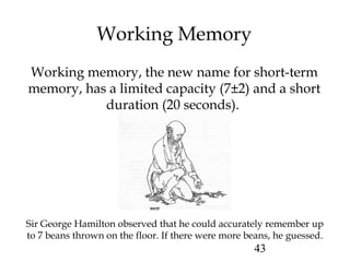 43
Working Memory
Working memory, the new name for short-term
memory, has a limited capacity (7±2) and a short
duration (20 seconds).
Sir George Hamilton observed that he could accurately remember up
to 7 beans thrown on the floor. If there were more beans, he guessed.
 