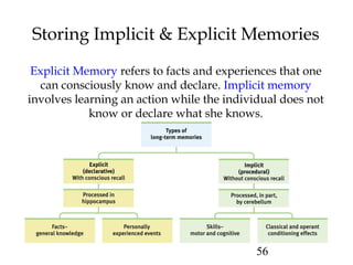 56
Storing Implicit & Explicit Memories
Explicit Memory refers to facts and experiences that one
can consciously know and declare. Implicit memory
involves learning an action while the individual does not
know or declare what she knows.
 