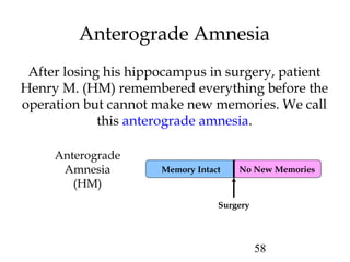 58
No New Memories
Anterograde Amnesia
Anterograde
Amnesia
(HM)
Surgery
After losing his hippocampus in surgery, patient
Henry M. (HM) remembered everything before the
operation but cannot make new memories. We call
this anterograde amnesia.
Memory Intact
 