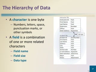 The Hierarchy of Data
• A character is one byte
– Numbers, letters, space,
punctuation marks, or
other symbols
• A field is a combination
of one or more related
characters
– Field name
– Field size
– Data type
17
 