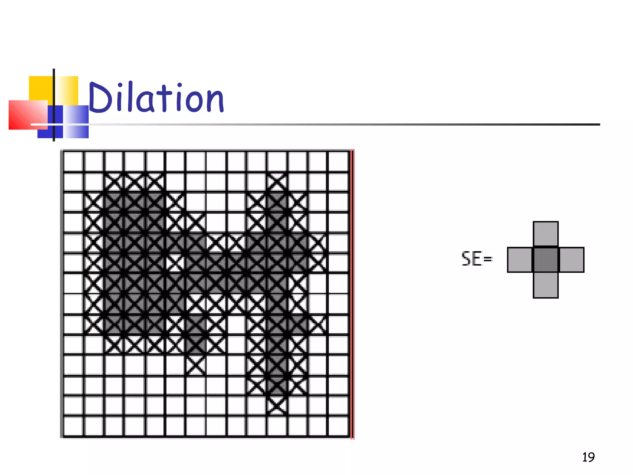 Dilation
19
 