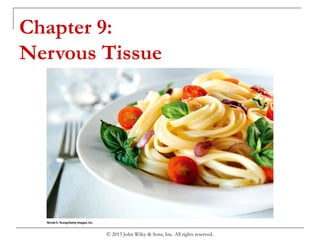 Chapter 9:
Nervous Tissue
© 2013 John Wiley & Sons, Inc. All rights reserved.
 