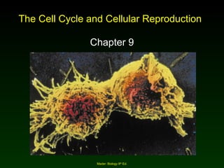 The Cell Cycle and Cellular Reproduction Chapter 9 Mader: Biology 8 th  Ed. 