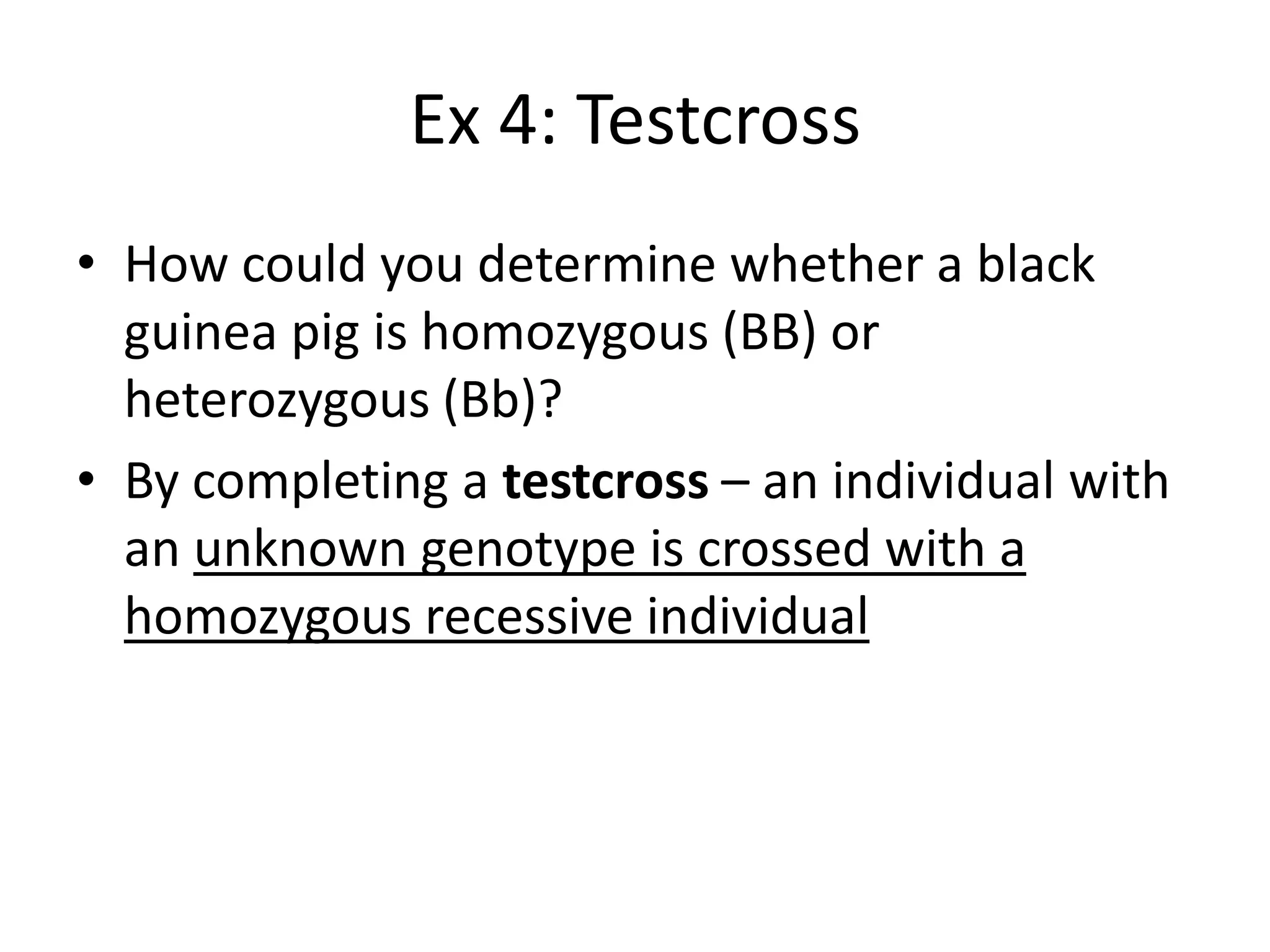 Ex 4: Testcross
• How could you determine whether a black
  guinea pig is homozygous (BB) or
  heterozygous (Bb)?
• By completing a testcross – an individual with
  an unknown genotype is crossed with a
  homozygous recessive individual
 
