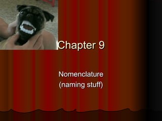 Chapter 9
Nomenclature
(naming stuff)

 