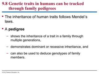 9.8 Genetic traits in humans can be tracked
through family pedigrees
 The inheritance of human traits follows Mendel’s
laws.
 A pedigree
– shows the inheritance of a trait in a family through
multiple generations,
– demonstrates dominant or recessive inheritance, and
– can also be used to deduce genotypes of family
members.

© 2012 Pearson Education, Inc.

 