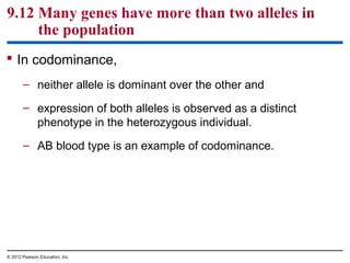 9.12 Many genes have more than two alleles in
the population
 In codominance,
– neither allele is dominant over the other and
– expression of both alleles is observed as a distinct
phenotype in the heterozygous individual.
– AB blood type is an example of codominance.

© 2012 Pearson Education, Inc.

 
