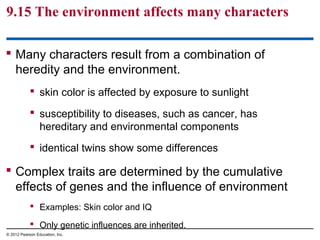 9.15 The environment affects many characters
 Many characters result from a combination of
heredity and the environment.
 skin color is affected by exposure to sunlight
 susceptibility to diseases, such as cancer, has
hereditary and environmental components
 identical twins show some differences

 Complex traits are determined by the cumulative
effects of genes and the influence of environment
 Examples: Skin color and IQ
 Only genetic influences are inherited.
© 2012 Pearson Education, Inc.

 