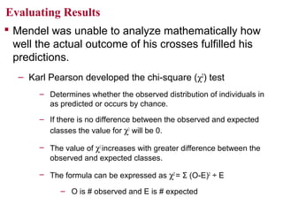 Evaluating Results
 Mendel was unable to analyze mathematically how
well the actual outcome of his crosses fulfilled his
predictions.
– Karl Pearson developed the chi-square (χ2) test
– Determines whether the observed distribution of individuals in
as predicted or occurs by chance.
– If there is no difference between the observed and expected
classes the value for χ2 will be 0.
– The value of χ2 increases with greater difference between the
observed and expected classes.
– The formula can be expressed as χ2 = Σ (O-E)2 ÷ E
– O is # observed and E is # expected

 