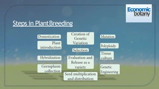 Steps in PlantBreeding
Economic
botany
 