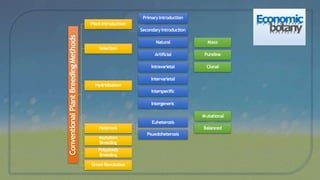Economic
botany
ConventionalPlantBreedingMethods
PlantIntroduction
PrimaryIntroduction
Secondary Introduction
Selection
Natural
Artificial
Mass
Pureline
Clonal
Hydridisation
Intravarietal
Intervarietal
Heterosis
Interspecific
Intergeneric
Mutational
Euheterosis
Balanced
Psuedoheterosis
Mutation
Breeding
Polyploidy
Breeding
GreenRevolution
 