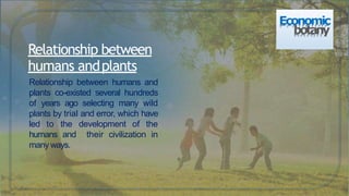 Relationship between
humans andplants
Relationship between humans and
plants co-existed several hundreds
of years ago selecting many wild
plants by trial and error, which have
led to the development of the
humans and their civilization in
many ways.
Economic
botany
 
