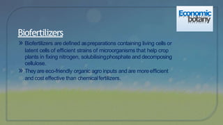» Biofertilizers are defined aspreparations containing living cells or
latent cells of efficient strains of microorganisms that help crop
plants in fixing nitrogen, solubilisingphosphate and decomposing
cellulose.
» Theyare eco-friendly organic agro inputs and are moreefficient
and cost effective than chemicalfertilizers.
Biofertilizers
Economic
botany
 