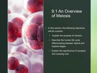 Chapter 9 Meiosis and the Genetic Basis of Sexual Reproduction | PPTX