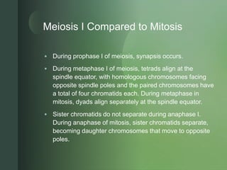 Chapter 9 Meiosis and the Genetic Basis of Sexual Reproduction | PPTX