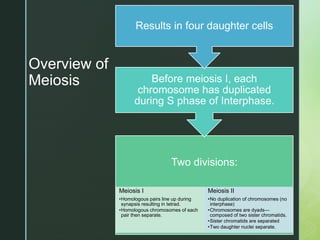 Chapter 9 Meiosis and the Genetic Basis of Sexual Reproduction | PPTX