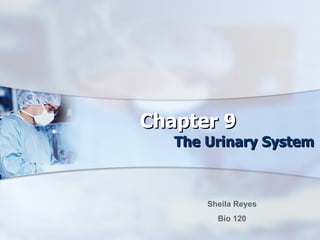 Chapter 9 The Urinary System Sheila Reyes Bio 120 