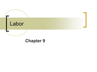 Chapter 9
Labor
 