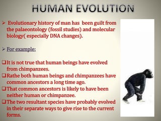  Evolutionary history of man has been guilt from
the palaeontology (fossil studies) and molecular
biology( especially DNA changes).
For example:
It is not true that human beings have evolved
from chimpanzees.
Rathe both human beings and chimpanzees have
common ancestors a long time ago.
That common ancestors is likely to have been
neither human or chimpanzee.
The two resultant species have probably evolved
in their separate ways to give rise to the current
forms.
 