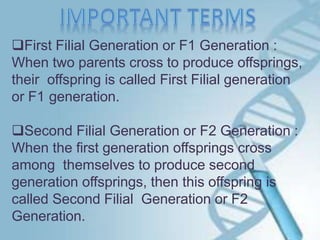 heredity and evolution | PPTX