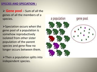  Gene pool – Sum of all the
genes of all the members of a
species.
Speciation occurs when the
gene pool of a population is
somehow reproductively
isolated from other sister
population of the parent
species and gene flow no
longer occurs between them.
Then a population splits into
independent species.
 