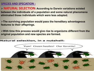 heredity and evolution | PPTX