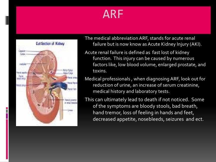 Chapter 9 The Urinary System