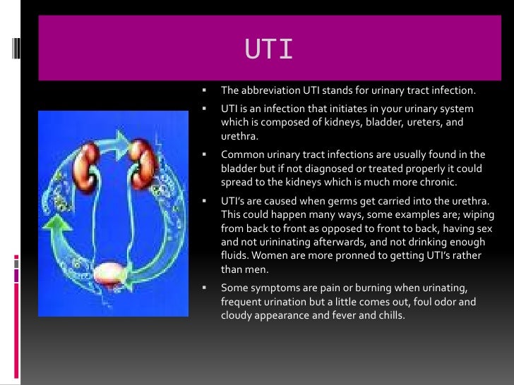 Chapter 9 The Urinary System